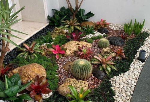 Taman indoor dengan kombinasi beberapa jenis kaktus