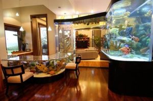 Read more about the article Desain Ruang Makan dengan Aquarium, Makan Makin Menyenangkan