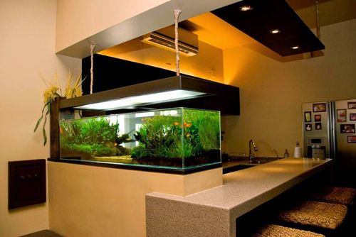 Desain ruang makan dengan kitchen set serta aquarium ikan