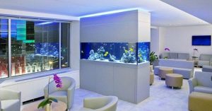 Read more about the article Desain Ruang Tamu dengan Hiasan Aquarium, Cantik dan Menenangkan